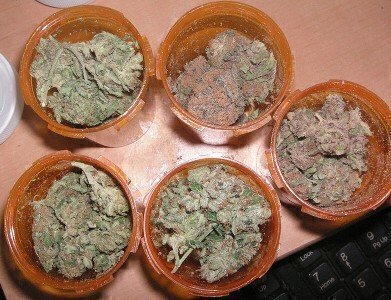 782px-Medicinal_Marijuana