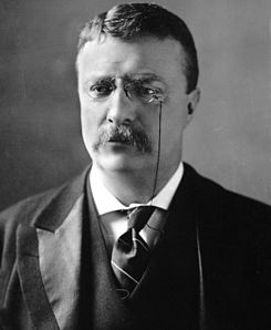 File-Theodore_Roosevelt_circa_1902