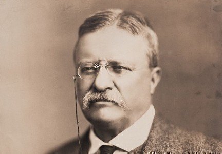 Theodore_Roosevelt_in_1918-452