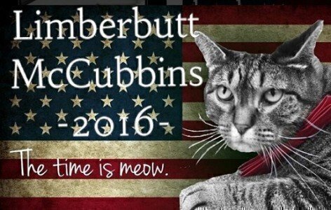 mccubbins campaign photo