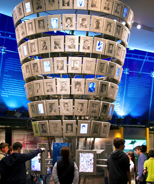 American National Tree