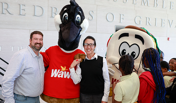 Wawa Hoagie Day